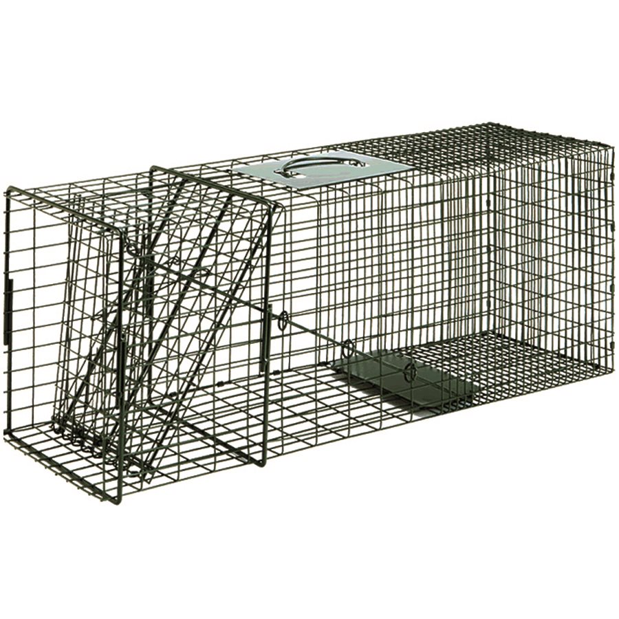 Duke #1110 Live Cage Trap (10