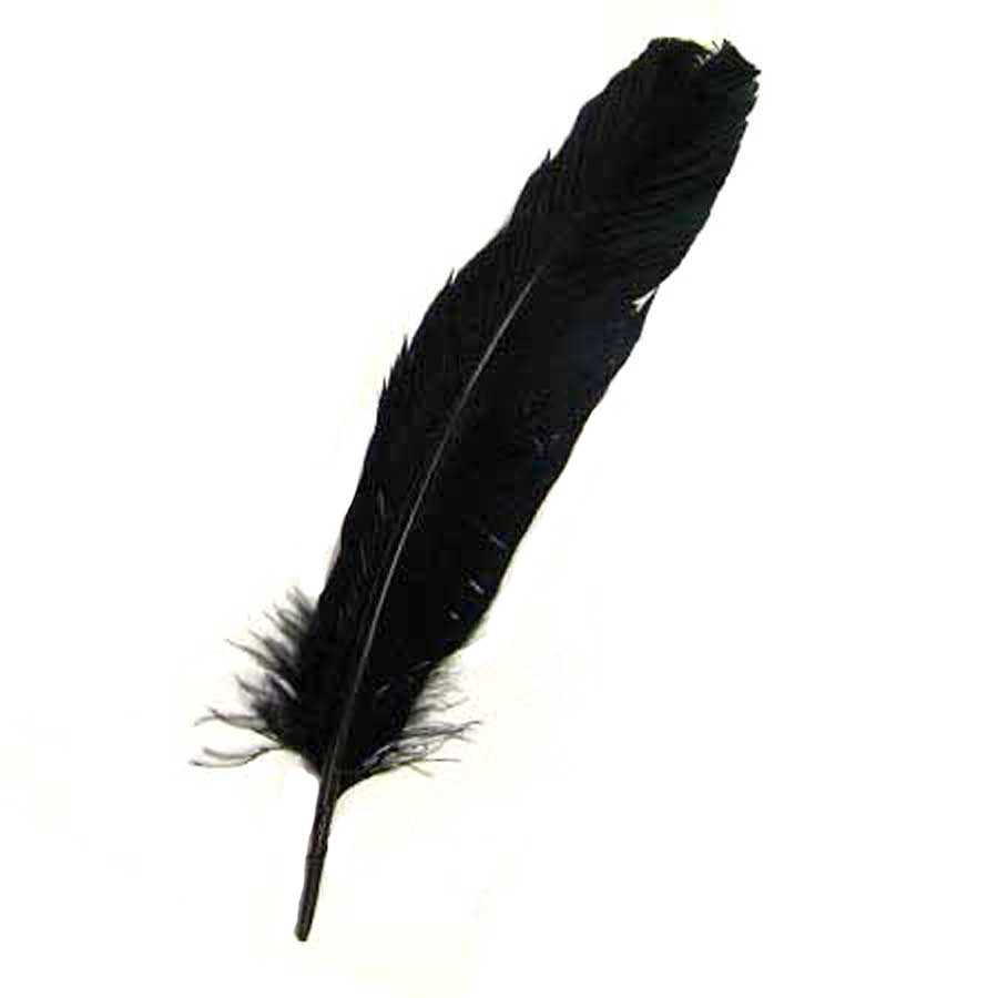 Turkey Quills - Black